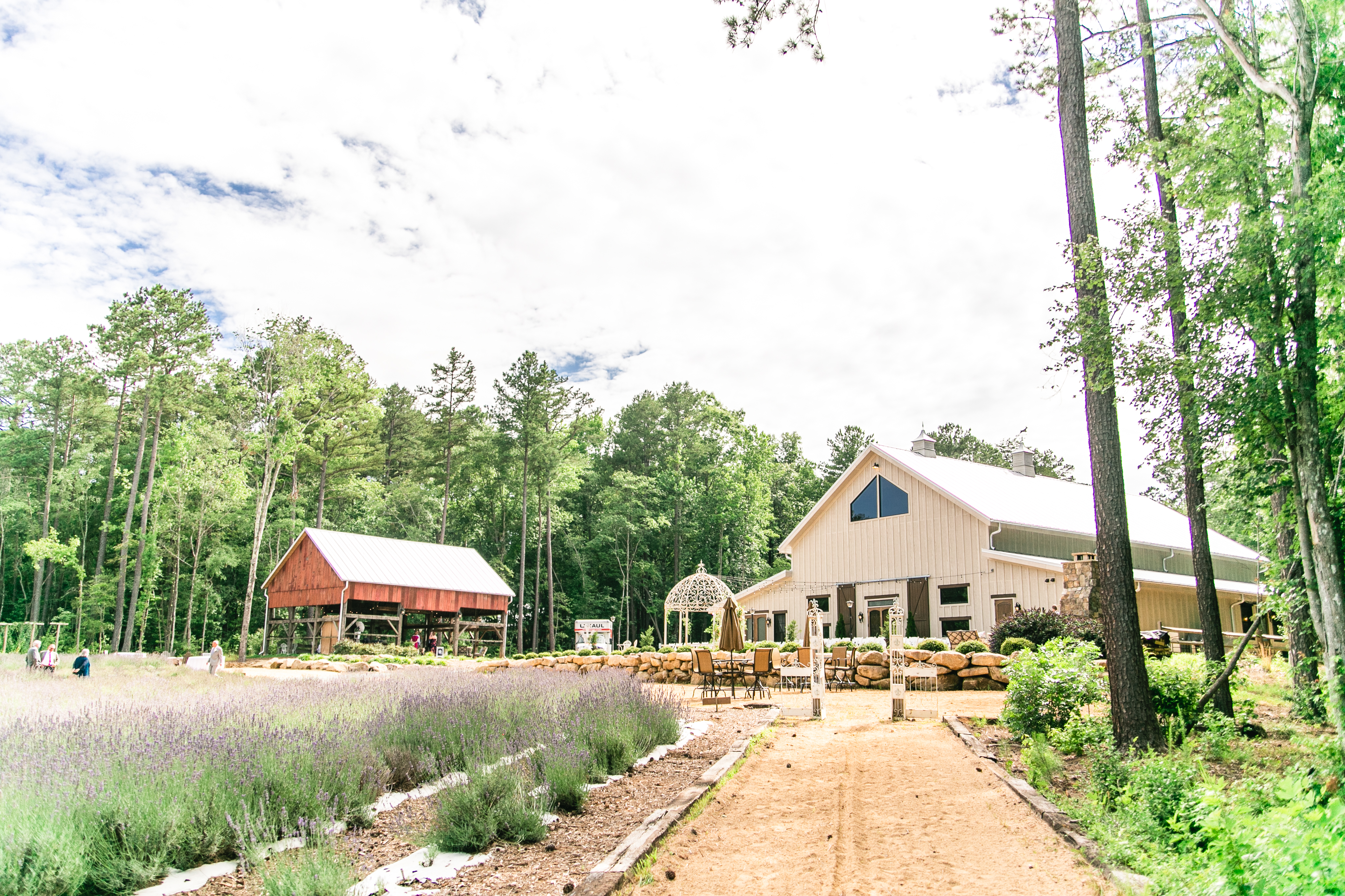 Lavender Oaks Farm